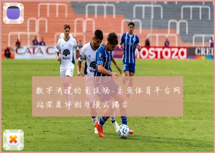数字消遣的竞技场_乐鱼体育平台网站深度评测与模式揭示