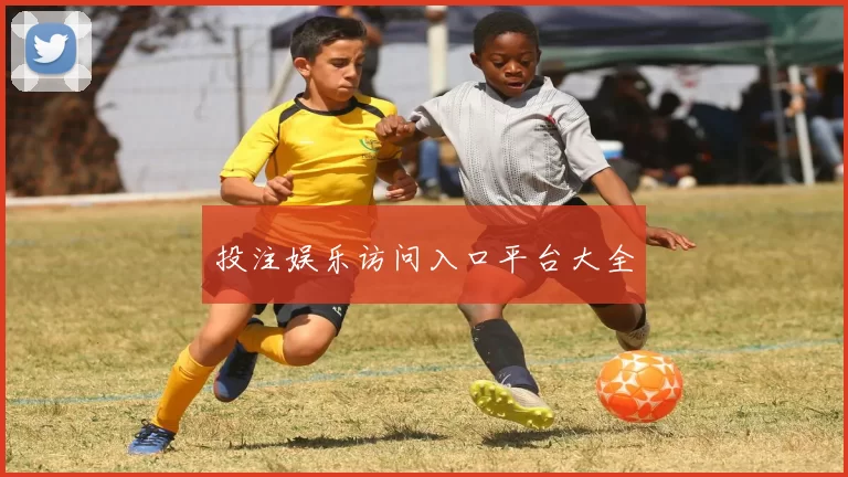 投注娱乐访问入口平台大全