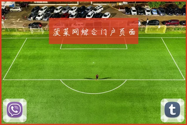 菠菜网综合门户页面