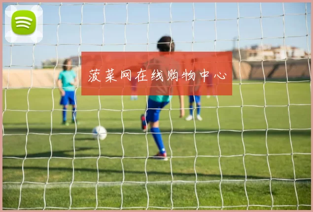 菠菜网在线购物中心