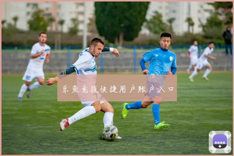 乐鱼竞技快捷用户账户入口