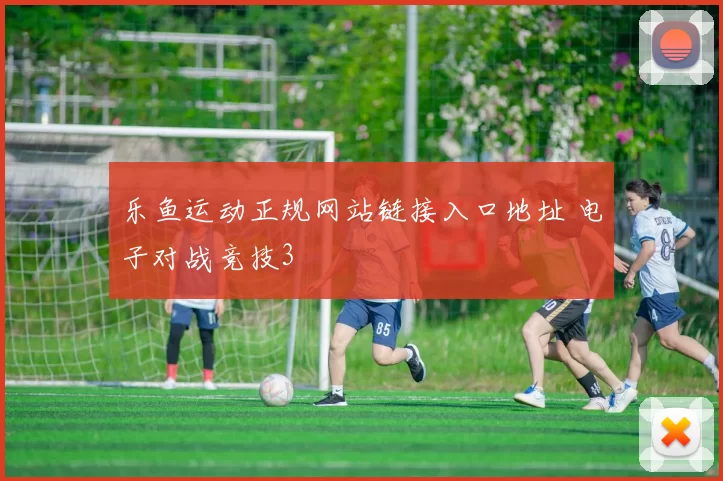 乐鱼运动正规网站链接入口地址 电子对战竞技3