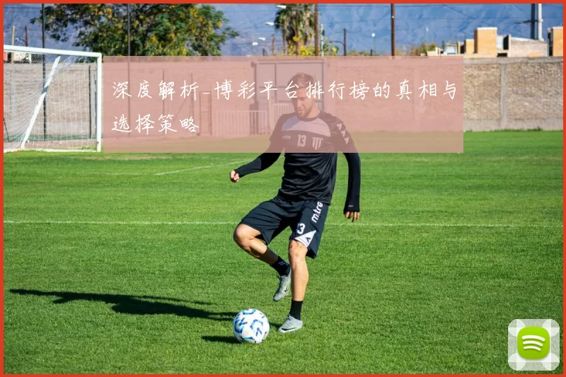 深度解析_博彩平台排行榜的真相与选择策略