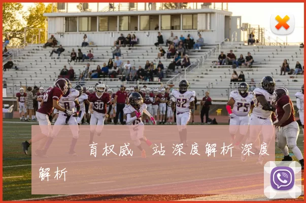 樂魚體育权威網站 深度解析 深度解析