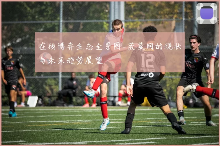 在线博弈生态全景图_菠菜网的现状与未来趋势展望