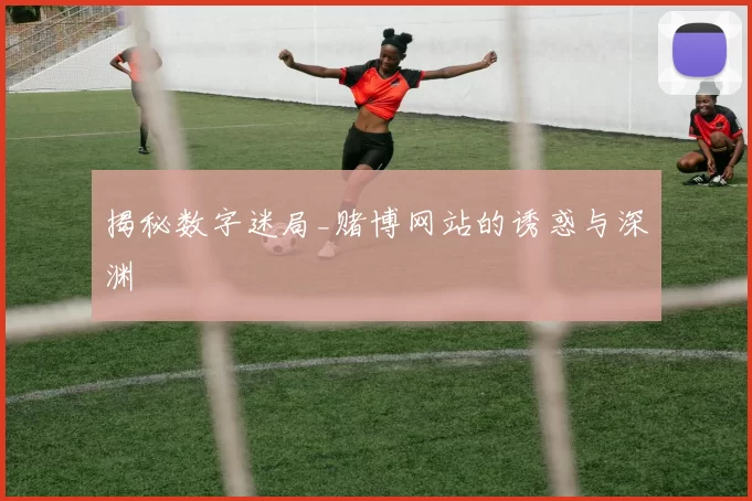 揭秘数字迷局_赌博网站的诱惑与深渊