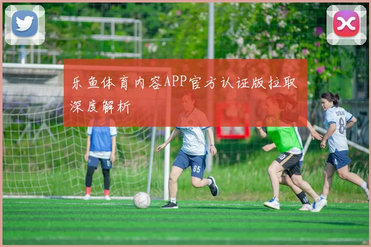 乐鱼体育内容APP官方认证版拉取 深度解析