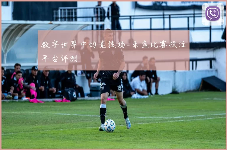 数字世界中的竞技场_乐鱼比赛投注平台评测