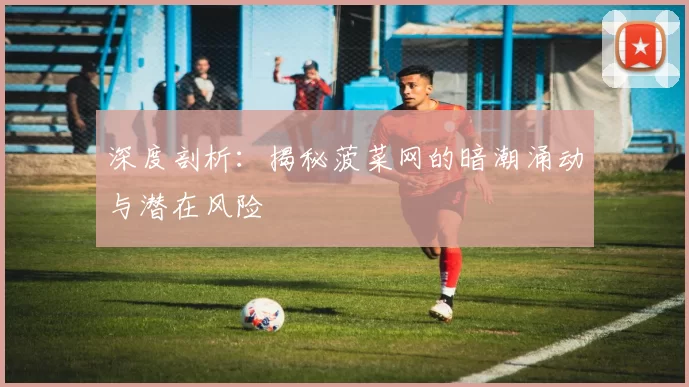 深度剖析：揭秘菠菜网的暗潮涌动与潜在风险