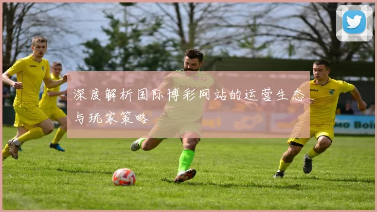 深度解析国际博彩网站的运营生态与玩家策略