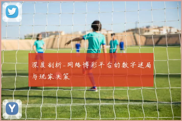 深度剖析_网络博彩平台的数字迷局与玩家决策