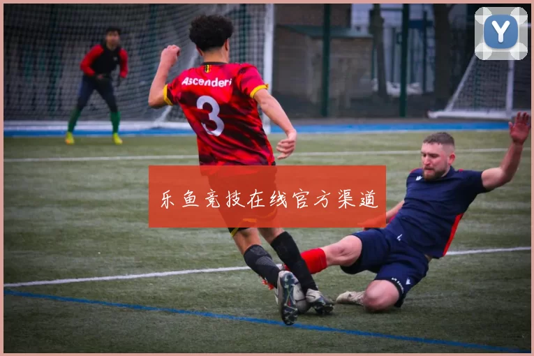 乐鱼竞技在线官方渠道