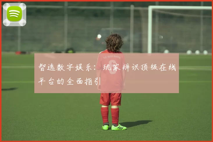 智选数字娱乐：玩家辨识顶级在线平台的全面指引