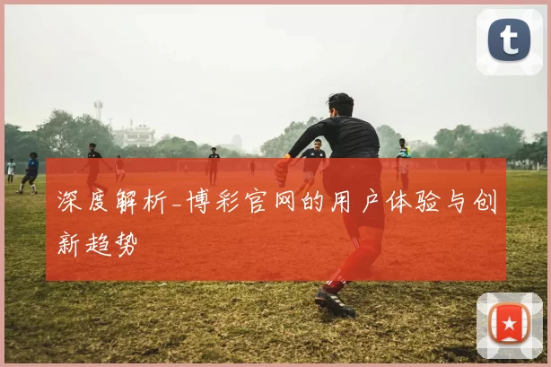 深度解析_博彩官网的用户体验与创新趋势