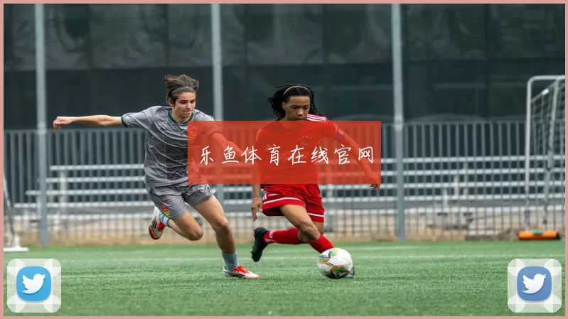 乐鱼体育在线官网